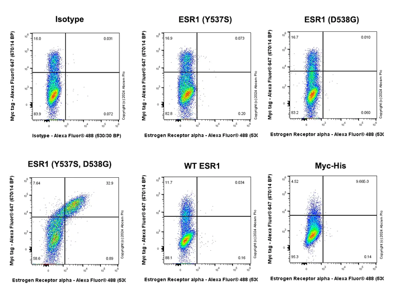 Flow Cytometry (Intracellular) - Anti-Estrogen Receptor alpha (mutated Y537S + D538G) antibody [EPR28709-35] (AB316764)