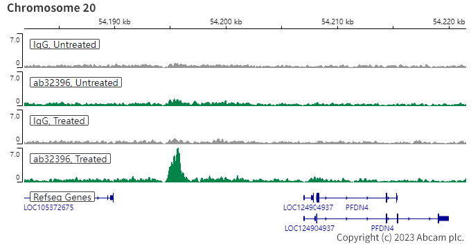 ChIC/CUT&RUN sequencing - Anti-Estrogen Receptor alpha (phospho S118) antibody [E91] (ab32396), expandable thumbnail