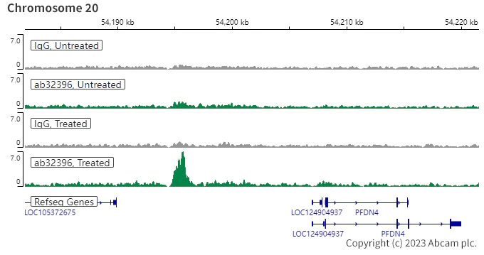ChIC/CUT&RUN sequencing - Anti-Estrogen Receptor alpha (phospho S118) antibody [E91] (AB32396)
