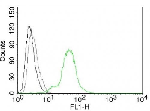 Flow Cytometry - Anti-Estrogen Receptor beta 1 antibody [ERb455] - C-terminal (AB187291), expandable thumbnail