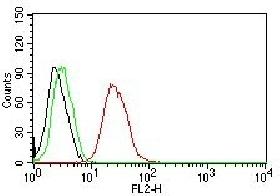 Flow Cytometry - Anti-Estrogen Receptor beta 1 antibody [ERb455] - C-terminal (AB187291), expandable thumbnail