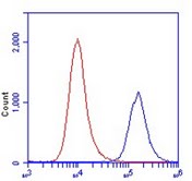 Flow Cytometry - Anti-ETFDH antibody [3D1AC4AF3] (AB131376), expandable thumbnail