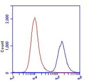 Flow Cytometry - Anti-ETFDH antibody [3D1AC4AF3] (AB131376)