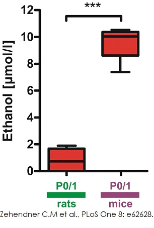 Functional Studies - Ethanol Assay Kit (AB65343)