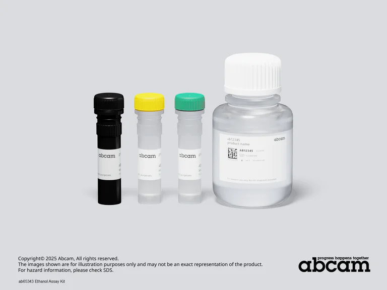Schematic Diagram - Ethanol Assay Kit (AB65343)