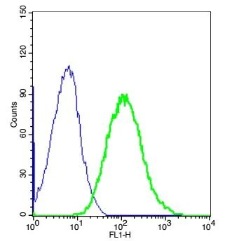 Flow Cytometry - Anti-ETL antibody (AB217175)