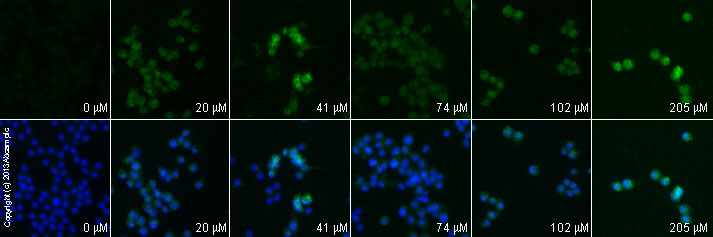 Functional Studies - Etomidate, GABAA agonist (AB120311), expandable thumbnail