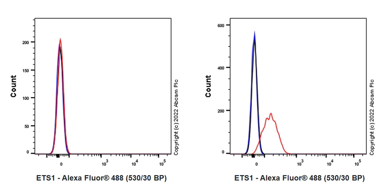 Flow Cytometry (Intracellular) - Anti-ETS1 antibody [EPR27353-81] (AB307672)