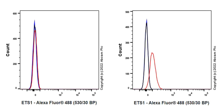 Flow Cytometry (Intracellular) - Anti-ETS1 antibody [EPR27353-81] - BSA and Azide free (AB307673)