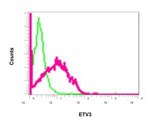 Flow Cytometry (Intracellular) - Anti-ETV3 antibody [EPR8658] (AB154810), expandable thumbnail
