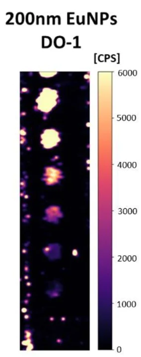 Dot Blot - Europium Conjugation Kit (AB269889)