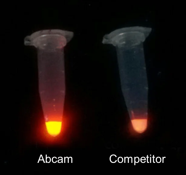 Functional Studies - Europium-Streptavidin (AB270228)