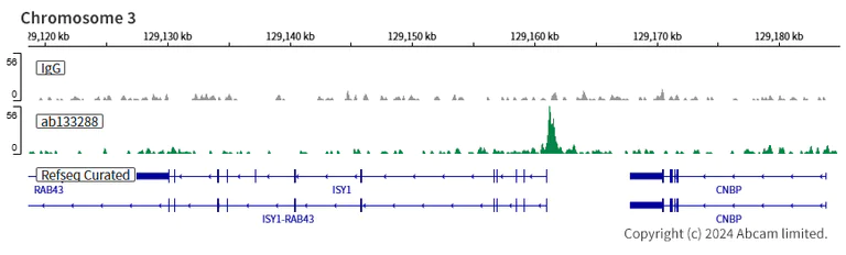 ChIC/CUT&RUN sequencing - Anti-EWSR1/EWS antibody [EPR4647] (AB133288)