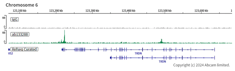 ChIC/CUT&RUN sequencing - Anti-EWSR1/EWS antibody [EPR4647] - BSA and Azide free (AB240055)