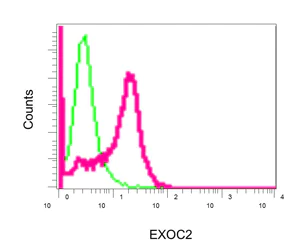 Flow Cytometry (Intracellular) - Anti-EXOC2 antibody [EPR9420] - BSA and Azide free (AB248907)