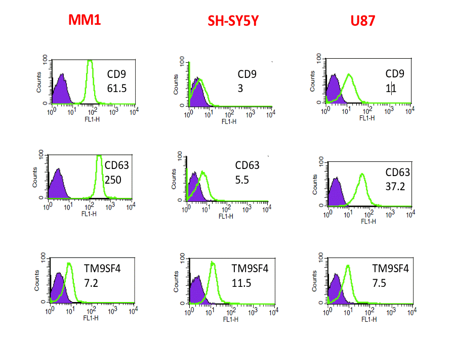 Flow Cytometry - ExoFACS Kit (AB287876)