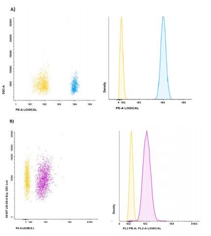 Flow Cytometry - Exosome Isolation and Analysis Kit - Flow Cytometry, Plasma (CD9 / CD81) (AB267479), expandable thumbnail