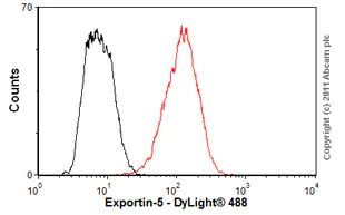 Flow Cytometry - Anti-Exportin-5 antibody [2C5-1B3] (AB57491)