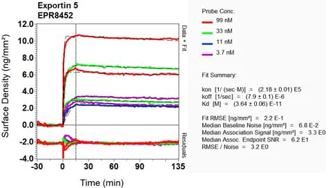 OI-RD Scanning - Anti-Exportin-5 antibody [EPR8452] - BSA and Azide free (AB248256)