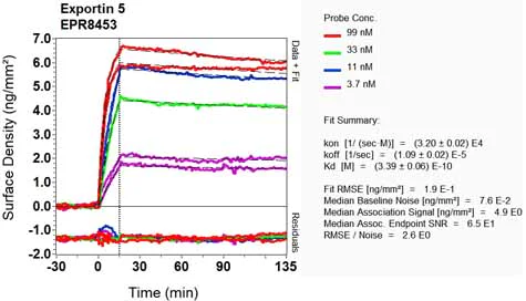 OI-RD Scanning - Anti-Exportin-5 antibody [EPR8453] (AB131281)