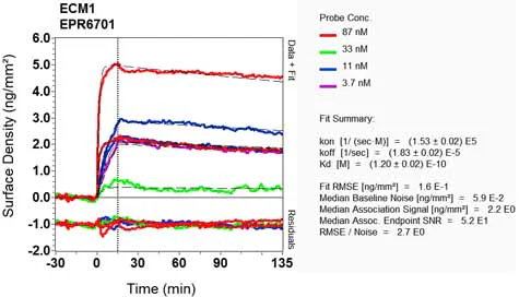 OI-RD Scanning - Anti-Extracellular matrix protein 1 antibody [EPR6701] (AB126629)