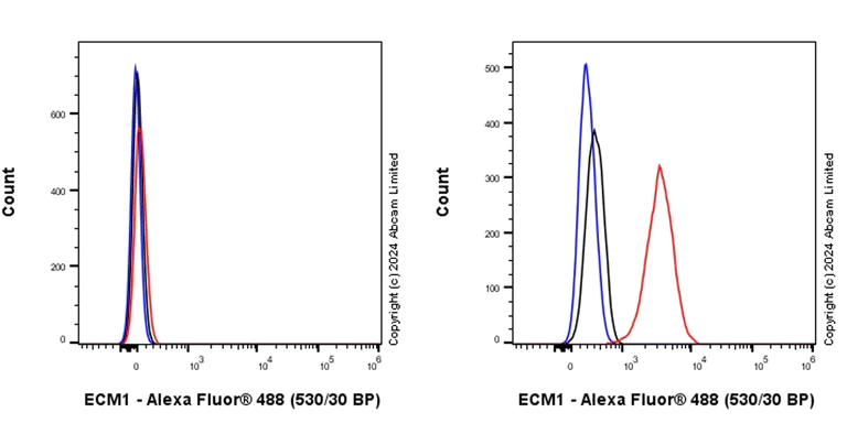 Flow Cytometry (Intracellular) - Anti-Extracellular matrix protein 1 antibody [RM1187] - BSA and Azide free (AB320842)