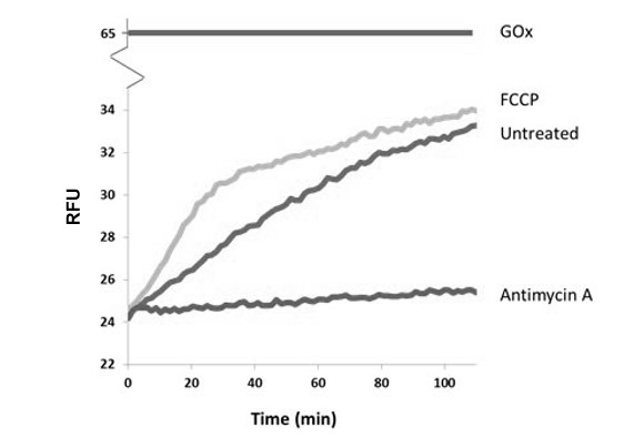 Cellular Activity - Extracellular Oxygen Consumption Reagent (AB197242), expandable thumbnail