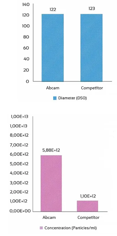 Other - Extracellular Vesicle (Ev) SEC Columns 70 nm (AB326984)