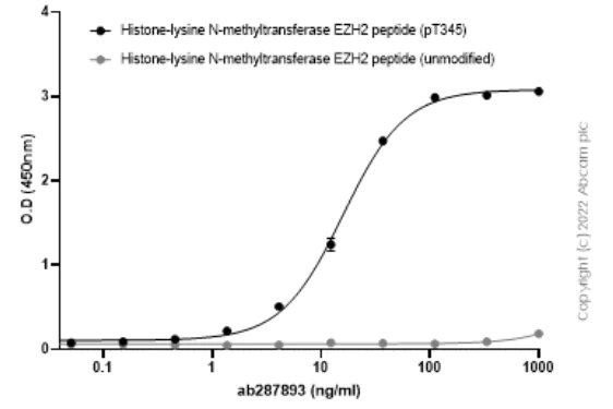 Indirect ELISA - Anti-EZH2 antibody [EPR24902-112] - BSA and Azide free (AB287901)