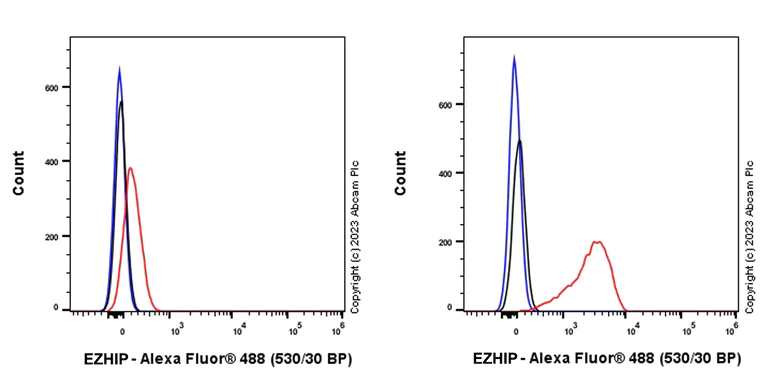 Flow Cytometry (Intracellular) - Anti-EZHIP antibody [EPR28396-50] - BSA and Azide free (AB313393)