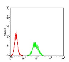 Flow Cytometry - Anti-Ezrin antibody [6F1A9] (AB205381)