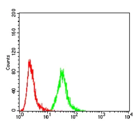 Flow Cytometry - Anti-Ezrin antibody [6F1A9] (AB205381)