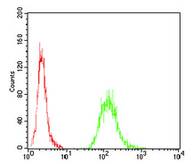 Flow Cytometry - Anti-Ezrin antibody [6F1C3] (AB204954)