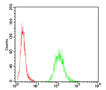 Flow Cytometry - Anti-Ezrin antibody [6F1C3] (AB204954)