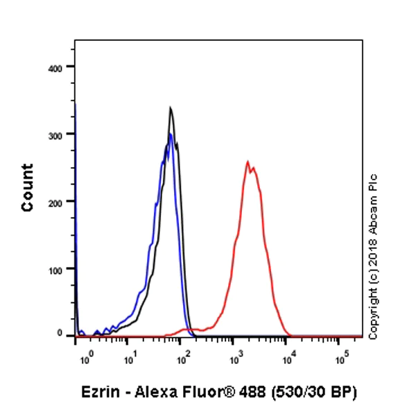 Flow Cytometry (Intracellular) - Anti-Ezrin antibody [EP886Y] - BSA and Azide free (AB239832)