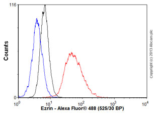 Flow Cytometry (Intracellular) - Anti-Ezrin antibody [EP886Y] - Plasma Membrane Marker (ab40839), expandable thumbnail