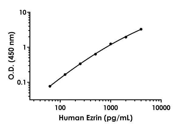 Sandwich ELISA - Anti-Ezrin antibody [EPR23353-139] - BSA and Azide free (Detector) (AB281538)