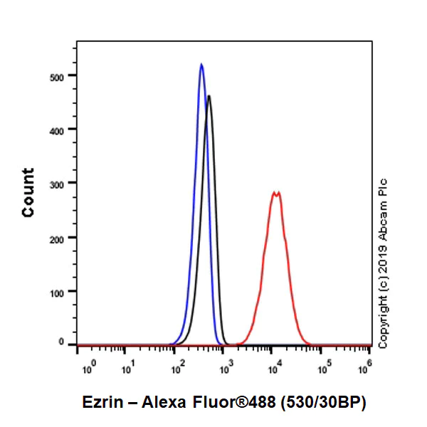 Flow Cytometry (Intracellular) - Anti-Ezrin antibody [EPR23353-55] - BSA and Azide free (AB270525)