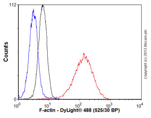 Flow Cytometry (Intracellular) - Anti-F-actin antibody [4E3.adl] (AB130935), expandable thumbnail