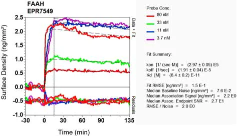 OI-RD Scanning - Anti-FAAH1 antibody [EPR7549] - BSA and Azide free (AB248219)