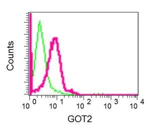 Flow Cytometry (Intracellular) - Anti-FABP-1 antibody [EPR12355(B)] - BSA and Azide free (AB250167)