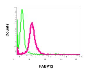 Flow Cytometry (Intracellular) - Anti-FABP12 antibody [EPR10536] - BSA and Azide free (AB249184)