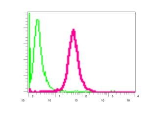 Flow Cytometry (Intracellular) - Anti-FACL4 antibody [EPR8640] (ab155282), expandable thumbnail