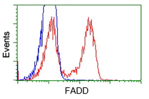 Flow Cytometry (Intracellular) - Anti-FADD antibody [OTI1C11] (AB119059)