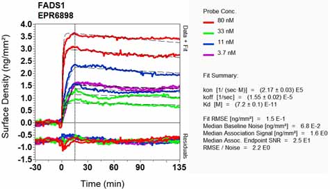 OI-RD Scanning - Anti-FADS1 antibody [EPR6898] (AB126706), expandable thumbnail