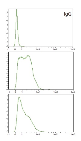 Flow Cytometry - Anti-FAF1 antibody (AB202298), expandable thumbnail