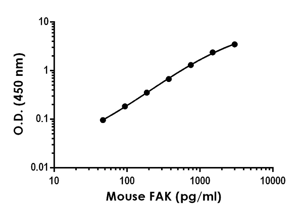 Sandwich ELISA - Anti-FAK antibody [EPR17648-157] - BSA and Azide free (Detector) (AB242750)