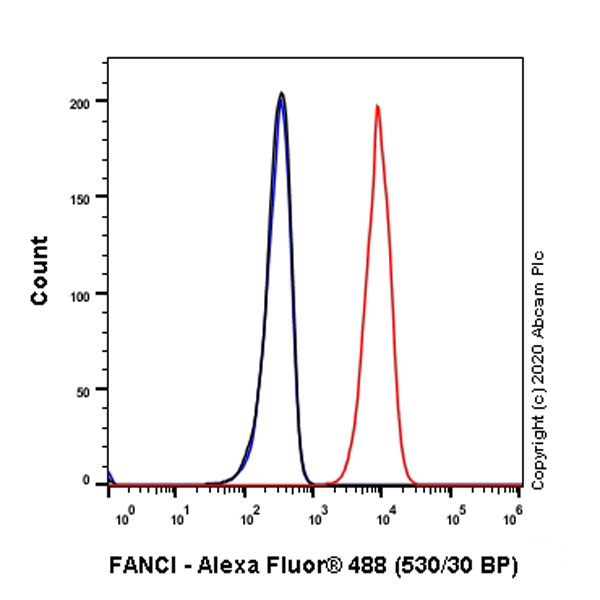 Flow Cytometry (Intracellular) - Anti-FANCI antibody [EPR23903-124] (AB245219), expandable thumbnail
