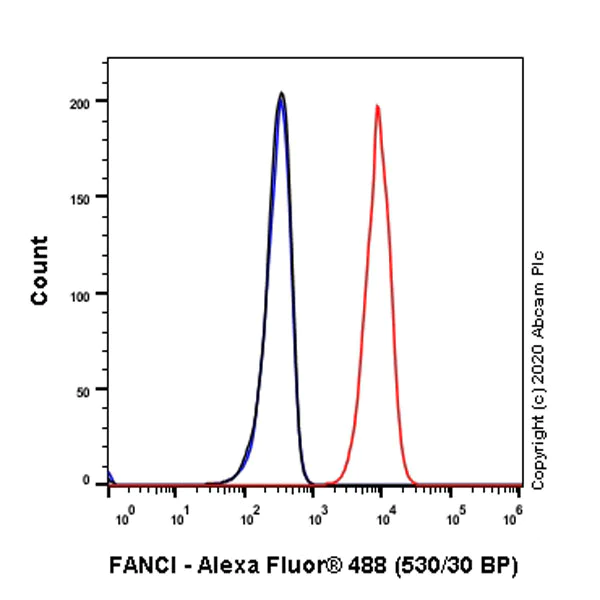 Flow Cytometry (Intracellular) - Anti-FANCI antibody [EPR23903-124] (AB245219)