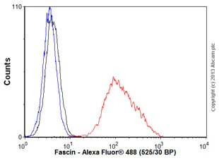 Flow Cytometry (Intracellular) - Anti-Fascin antibody [EP5902] - BSA and Azide free (AB240034)
